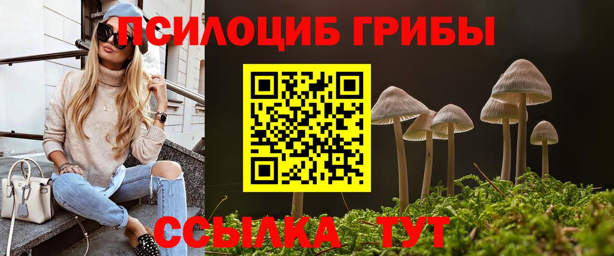 Галлюциногенные грибы Cubensis Лабинск