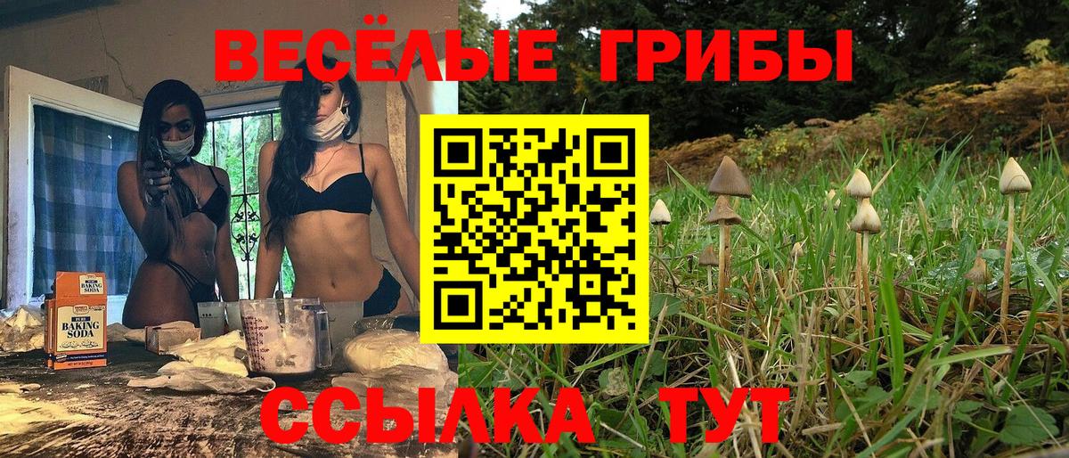 Псилоцибиновые грибы Magic Shrooms  Вход с VPN  Лабинск 